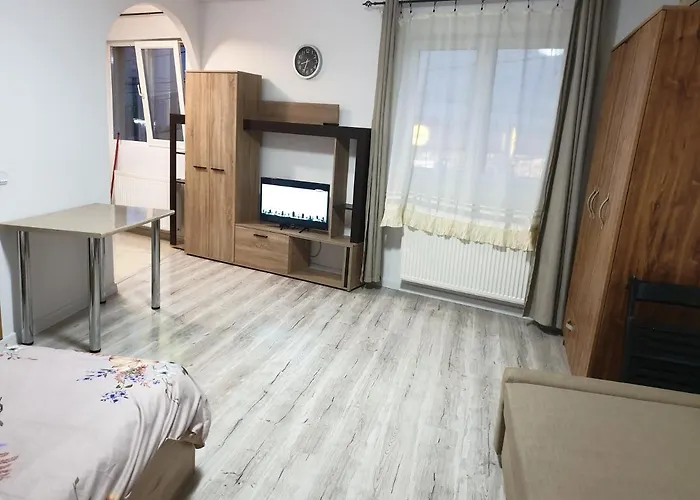Apartment Garsoniera 2